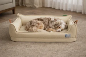 Canapé orthopédique imperméable pour chien – Image 2